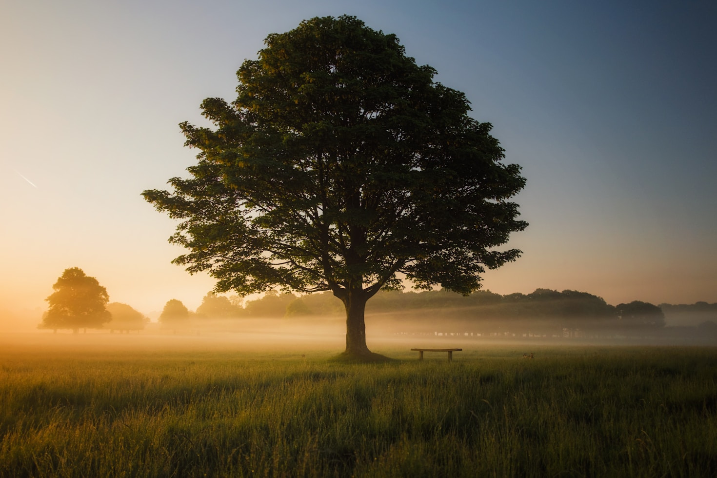 Breaking Habits: Unlocking Growth with Alexander Teachings