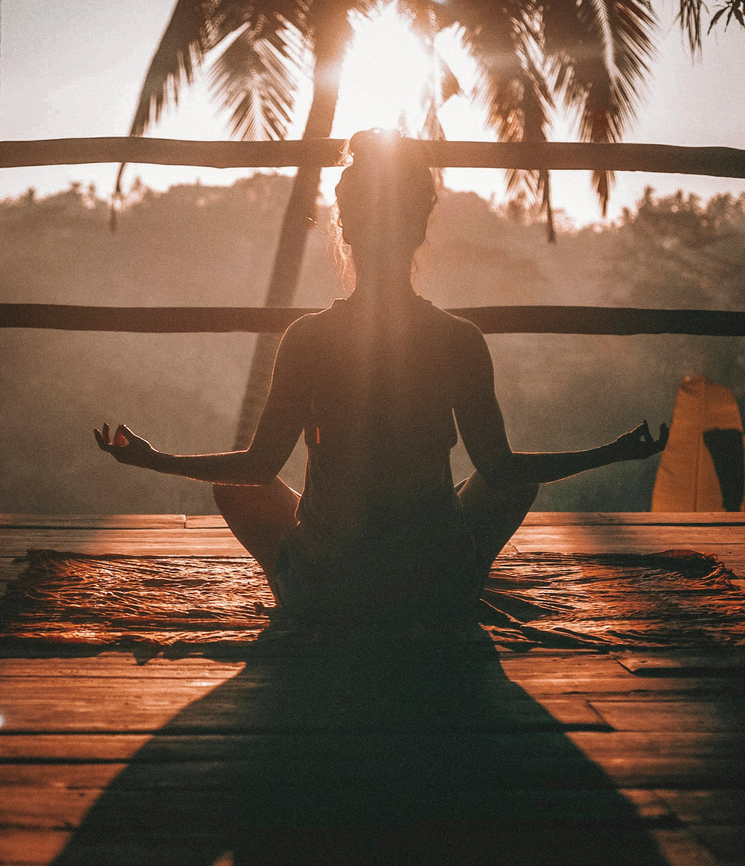 The Role of Mindfulness in the Alexander Technique Journey