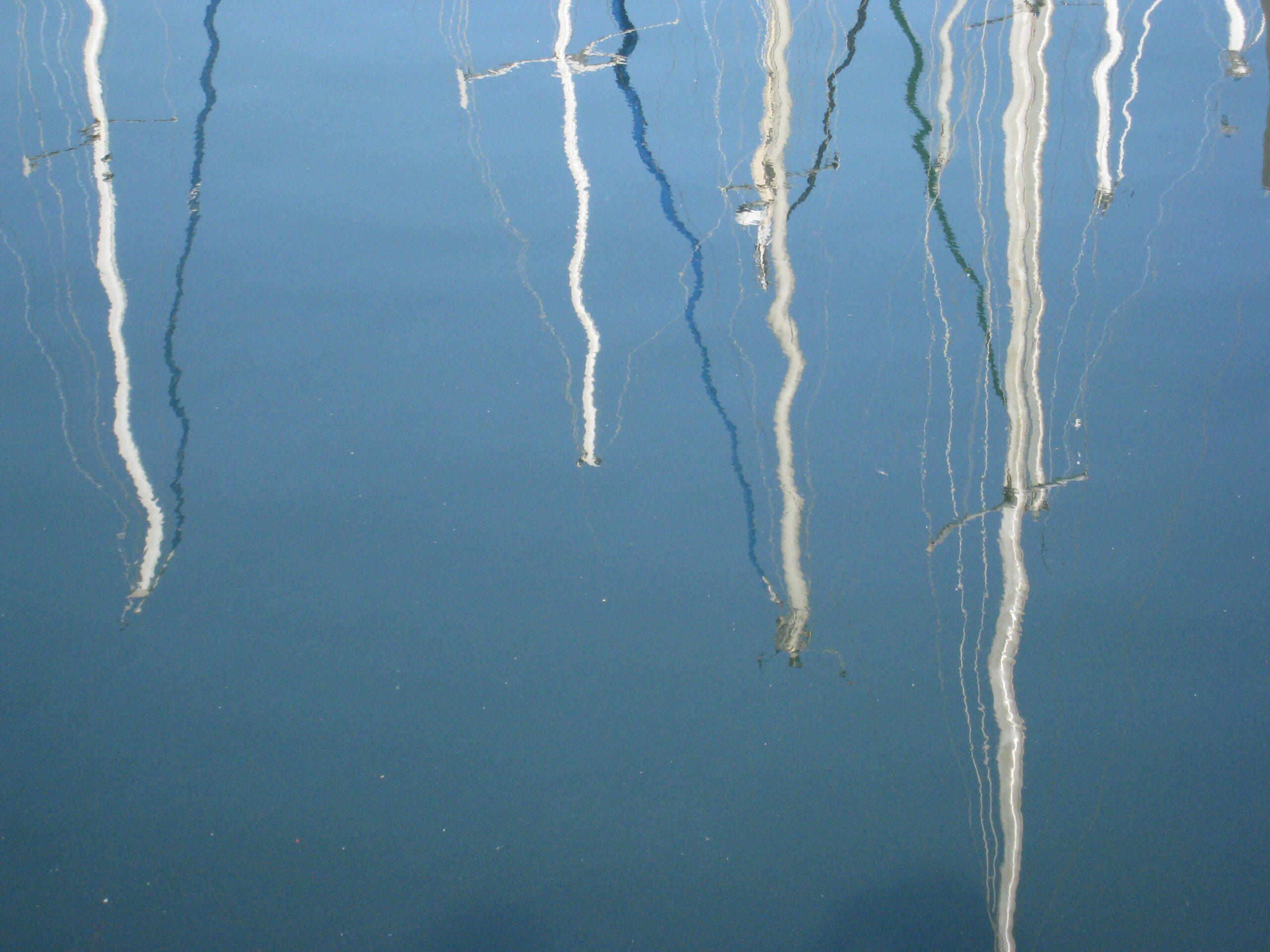 The difference between Perception and Knowledge